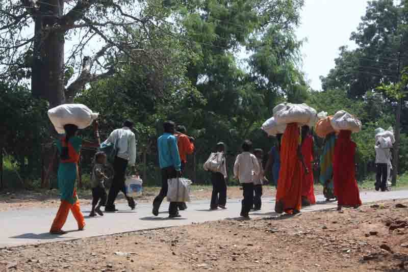 Most households in rural Bihar faced livelihood crisis during the first wave of COVID-19, reveals a recent study